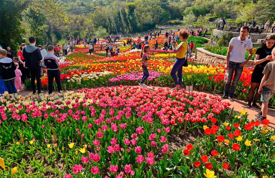 2 Парад тюльпанов в Крыму в апреле 2021